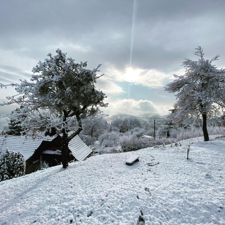 Banská Štiavnica Libling Ruzovy 게스트하우스 외부 사진