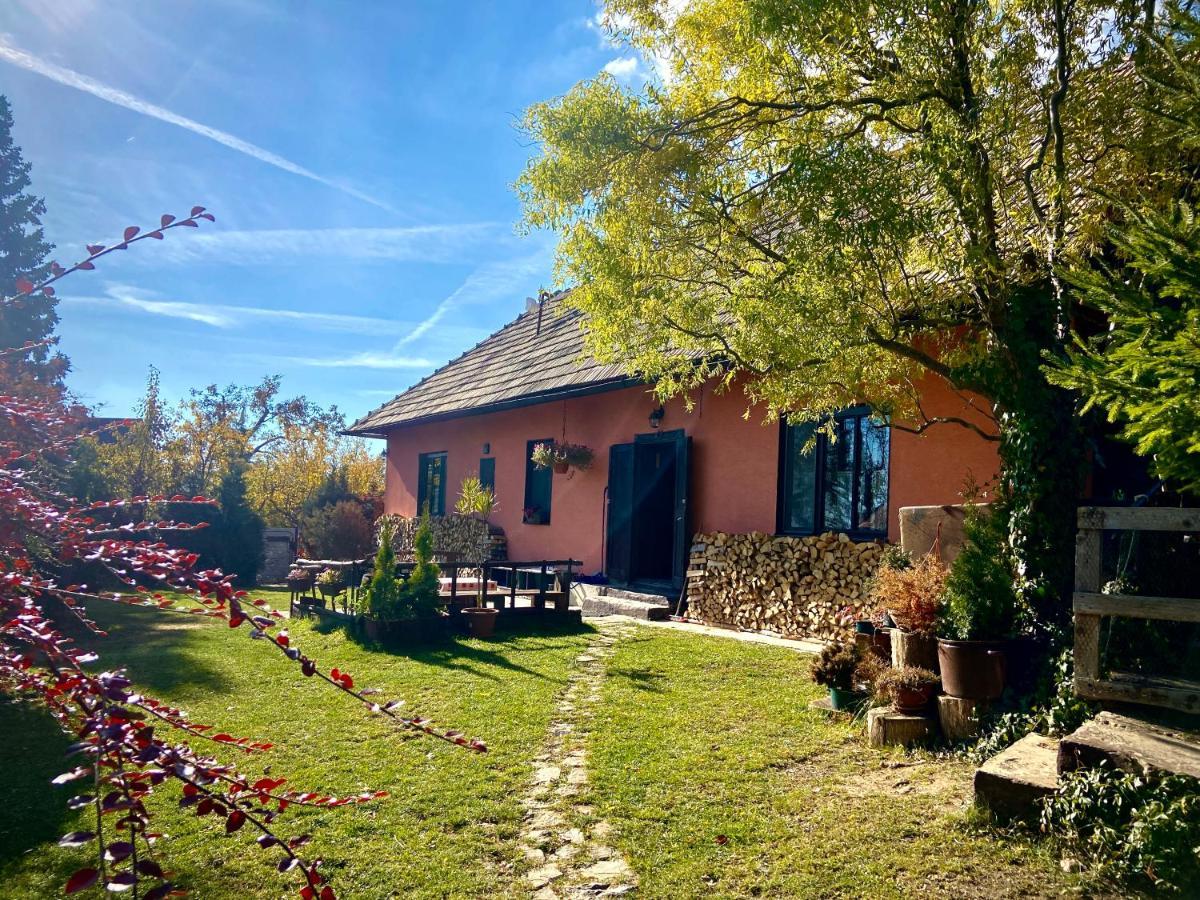Banská Štiavnica Libling Ruzovy 게스트하우스 외부 사진