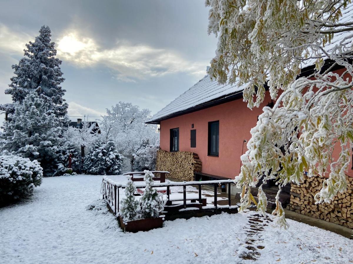 Banská Štiavnica Libling Ruzovy 게스트하우스 외부 사진